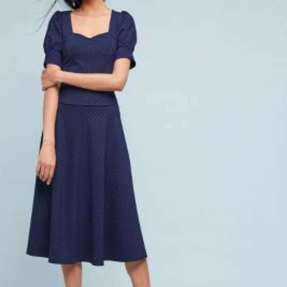 Anthropologie Maeve Sevigny Skirt size 6